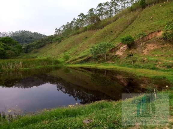 Imagem Chácara com 2 Quartos à Venda, 14.000 m² em Centro - Igaratá