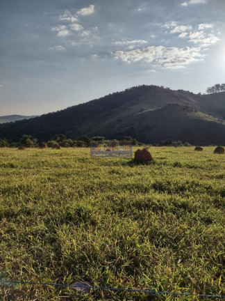Imagem Imóvel com 14 Quartos à Venda, 121.000 m² em Pinhal - Cabreúva