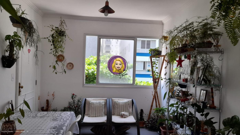 Imagem Apartamento com 3 Quartos à Venda, em Itararé - São Vicente Imagem Apartamento com 3 Quartos à Venda, em Itararé - São Vicente