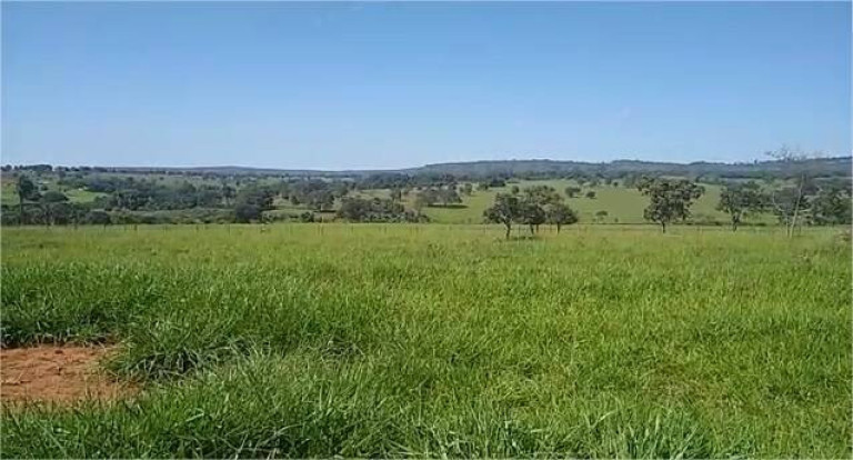Imagem Fazenda à Venda, 23 m² em Centro - Santa Vitória Imagem Fazenda à Venda, 23 m² em Centro - Santa Vitória