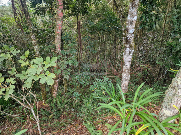Imagem Terreno à Venda, 1 m² em Alto Capivari - Campos Do Jordão Imagem Terreno à Venda, 1 m² em Alto Capivari - Campos Do Jordão