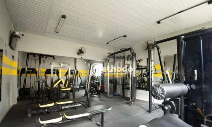 Imagem Apartamento com 2 Quartos à Venda, 52 m² em Jardim Nova Europa - Campinas Imagem Apartamento com 2 Quartos à Venda, 52 m² em Jardim Nova Europa - Campinas
