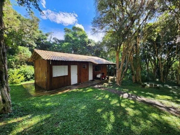 Imagem Imóvel com 3 Quartos à Venda, 51.000 m² em Campo Largo Da Roseira - São José Dos Pinhais