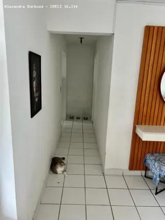 Imagem Apartamento com 3 Quartos à Venda, 127 m² em Torre - Recife