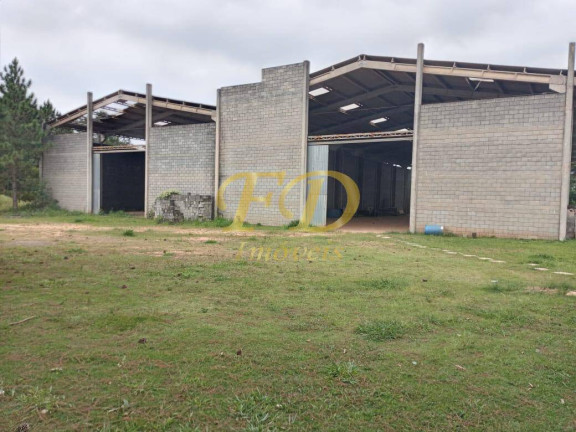 Galpão à Venda, 11.000 m² em Terra Preta - Mairiporã