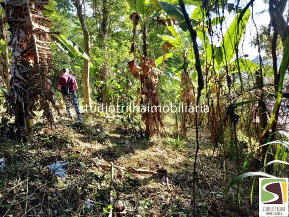 Imagem Terreno à Venda, 1.936 m² em Piúva - Ilhabela Imagem Terreno à Venda, 1.936 m² em Piúva - Ilhabela