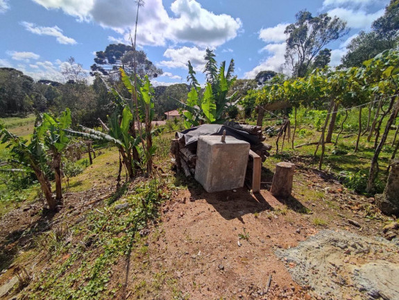 Imagem Chácara à Venda, 1.200 m² em Zona Rural - Tijucas Do Sul Imagem Chácara à Venda, 1.200 m² em Zona Rural - Tijucas Do Sul