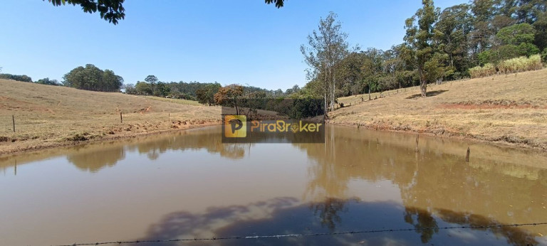 Imagem Imóvel com 3 Quartos à Venda, 532.400 m² em Itaqueri Da Serra - Itirapina