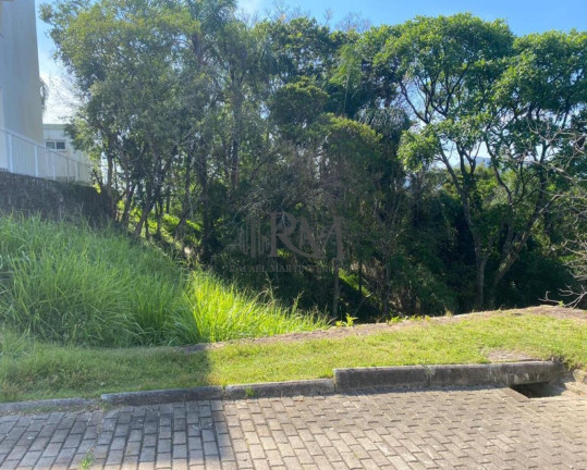 Imagem Terreno à Venda, 775 m² em Córrego Grande - Florianópolis Imagem Terreno à Venda, 775 m² em Córrego Grande - Florianópolis