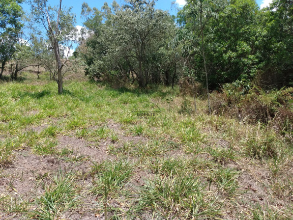 Imagem Imóvel à Venda, 48.000 m² em São Marcos - Bofete