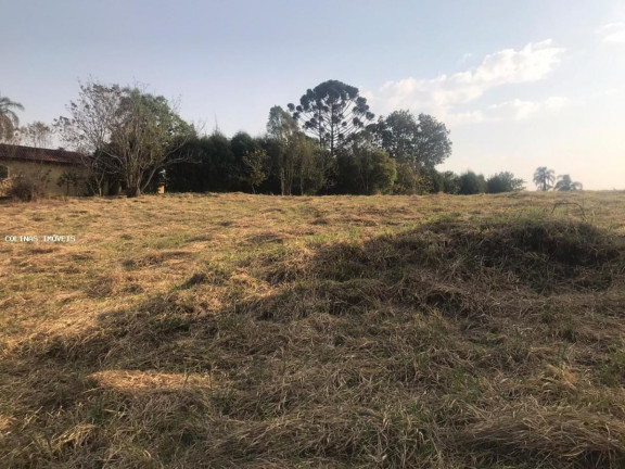 Imagem Terreno à Venda,  em Antes Do Centro - Ibiúna