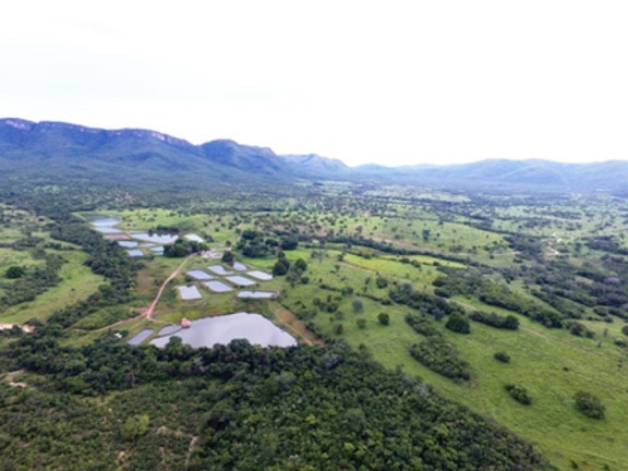Imagem Imóvel à Venda, em Monte Alegre De Goiás - Monte Alegre De Goiás Imagem Imóvel à Venda, em Monte Alegre De Goiás - Monte Alegre De Goiás
