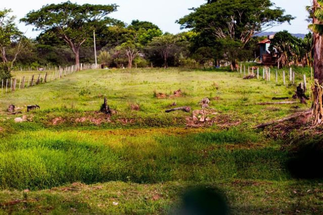 Imagem Fazenda à Venda, em Centro - Venâncio Aires Imagem Fazenda à Venda, em Centro - Venâncio Aires