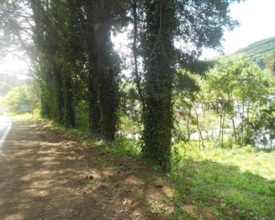 Imagem Terreno à Venda, 2.500 m² em Pia - Nova Petrópolis Imagem Terreno à Venda, 2.500 m² em Pia - Nova Petrópolis
