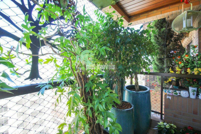 Imagem Apartamento com 3 Quartos à Venda, 100 m² em Jardim Guedala - São Paulo