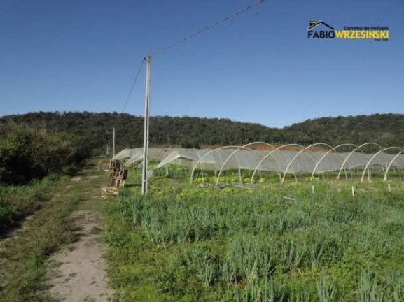 Imagem Terreno à Venda, 50.000 m² em Barra Itapocú - Araquari Imagem Terreno à Venda, 50.000 m² em Barra Itapocú - Araquari