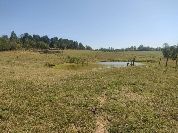 Imagem Chácara com 2 Quartos à Venda, 95.000 m² em Cercadinho - Alambari Imagem Chácara com 2 Quartos à Venda, 95.000 m² em Cercadinho - Alambari