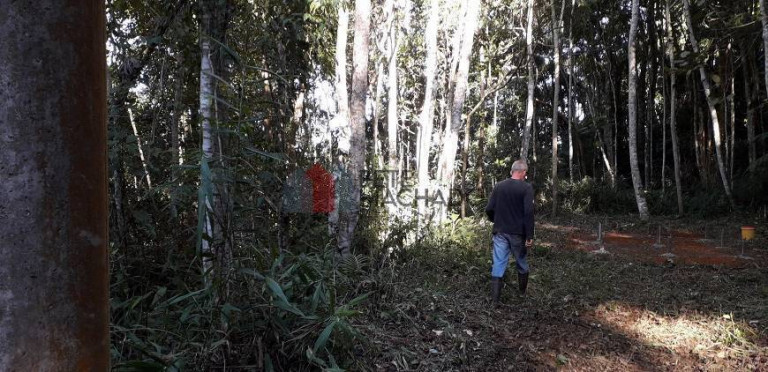 Imagem Terreno à Venda, 4.335 m² em Quebra Frascos - Teresópolis Imagem Terreno à Venda, 4.335 m² em Quebra Frascos - Teresópolis