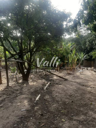 Imagem Imóvel com 2 Quartos à Venda, 1.000 m² em Santa Isabel - Tupi
