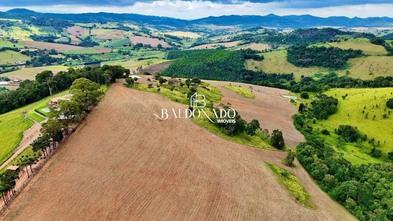 Terreno à Venda, 493.300 m² em Centro - Toledo