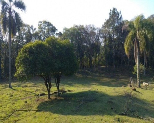 Imagem Imóvel com 2 Quartos à Venda, 110 m² em Fazenda Pirajá - Nova Petrópolis