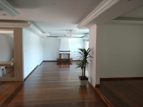 Imagem Casa com 4 Quartos à Venda, 501 m² em City América - São Paulo Imagem Casa com 4 Quartos à Venda, 501 m² em City América - São Paulo