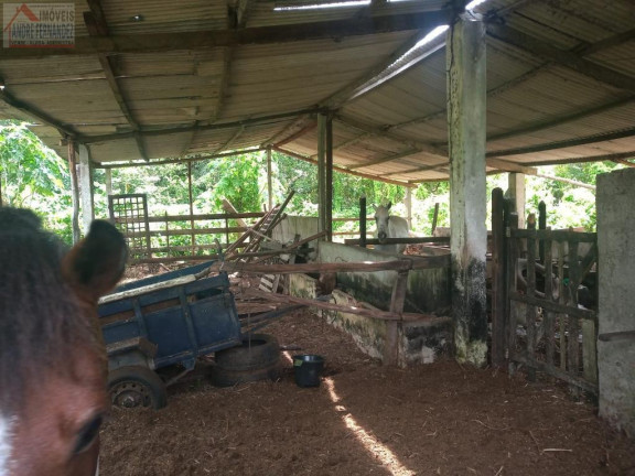 Imagem Imóvel com 4 Quartos à Venda, 450 m² em Monjope - Igarassu Imagem Imóvel com 4 Quartos à Venda, 450 m² em Monjope - Igarassu