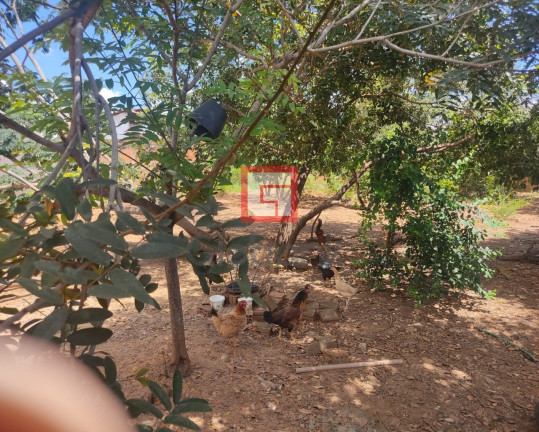 Imagem Terreno à Venda, 1.050 m² em Ibituruna - Montes Claros