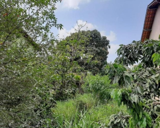 Imagem Terreno para Alugar,  em Piratininga - Niterói