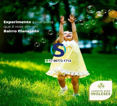 Imagem Terreno à Venda, 250 m² em Centro - Fernandópolis Imagem Terreno à Venda, 250 m² em Centro - Fernandópolis