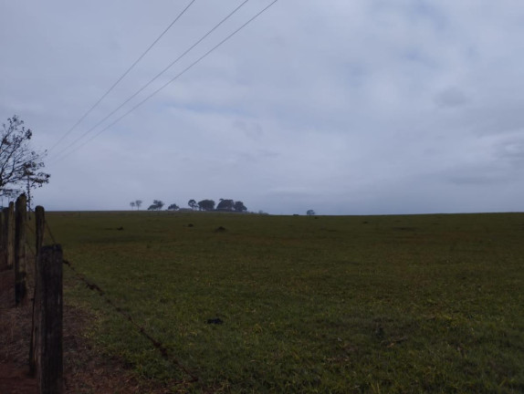 Imagem Fazenda à Venda, 76 m² em Rural - Taquarituba Imagem Fazenda à Venda, 76 m² em Rural - Taquarituba