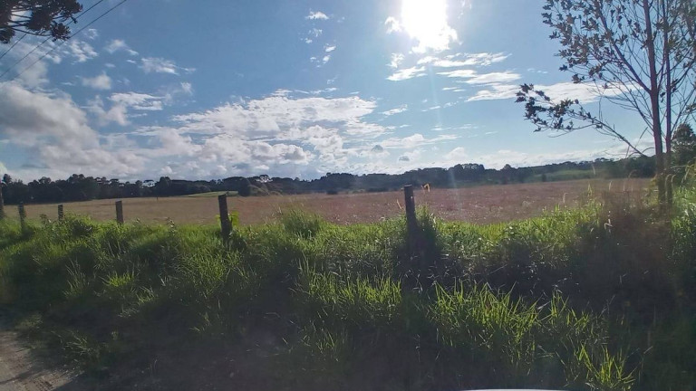 Imagem Terreno à Venda, em águas Claras - Piraquara Imagem Terreno à Venda, em águas Claras - Piraquara