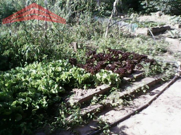 Imagem Chácara com 4 Quartos à Venda, 7 m² em Caxambú - Jundiaí Imagem Chácara com 4 Quartos à Venda, 7 m² em Caxambú - Jundiaí
