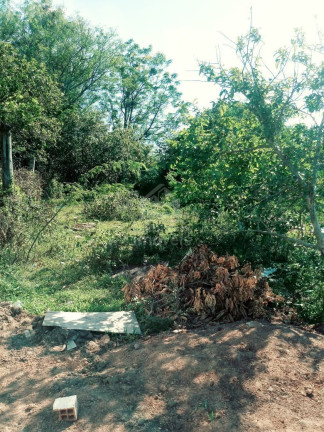 Imagem Terreno à Venda, 480 m² em Caturrita - Santa Maria Imagem Terreno à Venda, 480 m² em Caturrita - Santa Maria