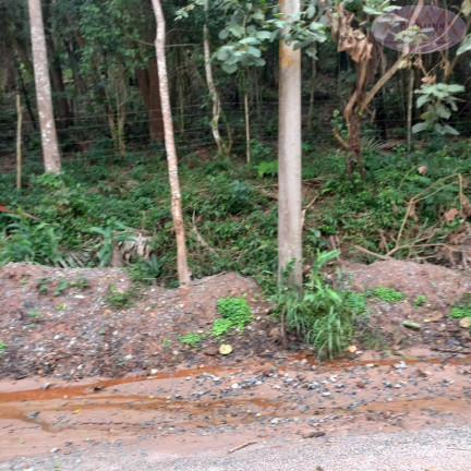 Imagem Terreno à Venda, 3.504 m² em Represa - Ribeirão Pires Imagem Terreno à Venda, 3.504 m² em Represa - Ribeirão Pires