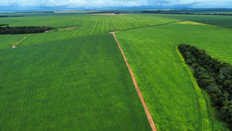 Imagem Fazenda à Venda, 510 m² em Zona Rural - Ipiranga Do Norte Imagem Fazenda à Venda, 510 m² em Zona Rural - Ipiranga Do Norte