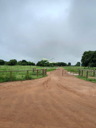 Imagem Fazenda à Venda, 2.800 m² em Jussara Imagem Fazenda à Venda, 2.800 m² em Jussara
