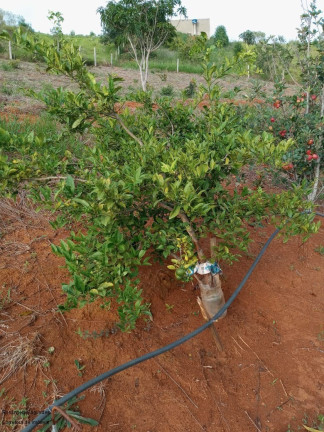 Imagem Imóvel com 2 Quartos à Venda, 90 m² em Zona Rural - Caldas