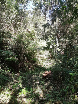 Imagem Imóvel à Venda, em área Rural De São Francisco Xavier - São José Dos Campos Imagem Imóvel à Venda, em área Rural De São Francisco Xavier - São José Dos Campos