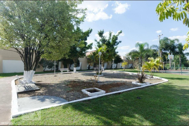 Imagem Apartamento com 2 Quartos à Venda, 65 m² em Baeta Neves - São Bernardo Do Campo