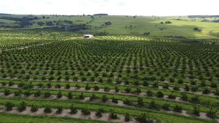 Imagem Fazenda à Venda, 121 m² em Rio Pardo - águas De Santa Bárbara