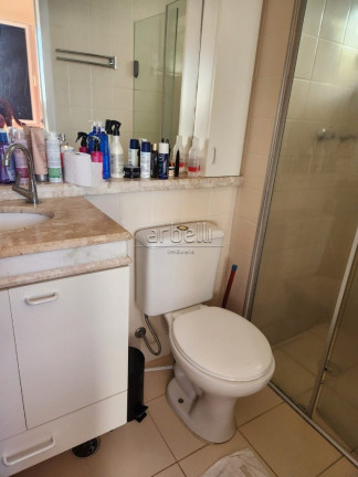 Imagem Apartamento com 3 Quartos para Alugar, 65 m² em City América - São Paulo Imagem Apartamento com 3 Quartos para Alugar, 65 m² em City América - São Paulo