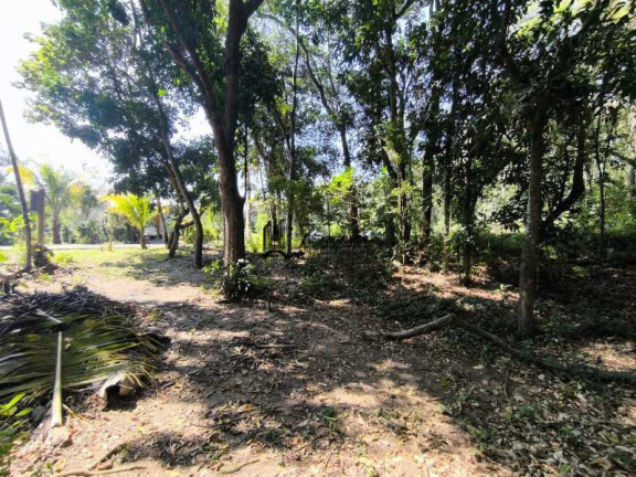 Imagem Terreno à Venda, 318 m² em Várzea Das Moças - Niterói Imagem Terreno à Venda, 318 m² em Várzea Das Moças - Niterói