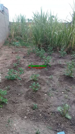 Imagem Terreno em Condomínio à Venda, 180 m² em Sob. Consulta - Lorena Imagem Terreno em Condomínio à Venda, 180 m² em Sob. Consulta - Lorena