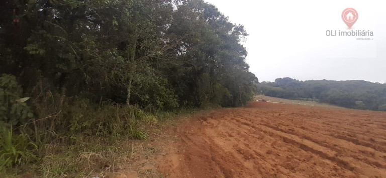Imagem Imóvel à Venda, 98.000 m² em Piedade - Piedade Imagem Imóvel à Venda, 98.000 m² em Piedade - Piedade