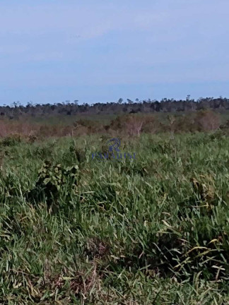 Imagem Fazenda à Venda, 17.799.000 m² em Zona Rural - Baianópolis Imagem Fazenda à Venda, 17.799.000 m² em Zona Rural - Baianópolis