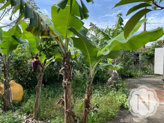 Imagem Terreno à Venda, 250 m² em Bopiranga - Itanhaém Imagem Terreno à Venda, 250 m² em Bopiranga - Itanhaém