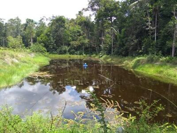 Chácara com 3 Quartos à Venda, 250 m² em Manaus