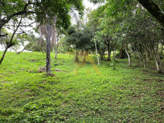 Imagem Terreno à Venda, em Morrinhos - Garopaba Imagem Terreno à Venda, em Morrinhos - Garopaba