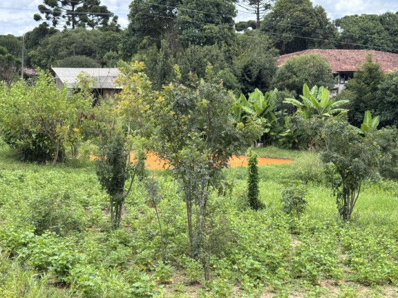 Imagem Imóvel à Venda, 5.500 m² em Rio Da Várzea - Quitandinha Imagem Imóvel à Venda, 5.500 m² em Rio Da Várzea - Quitandinha